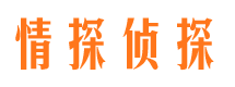 带岭侦探公司